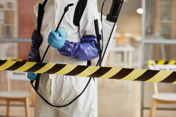 Professional Sewage Cleanup technician working in Indianapolis, IN
